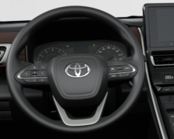 Tay lái
Vô lăng được thiết kế 3 chấu bọc da, mạ bạc cao cấp tích hợp các nút bấm tiện lợi cho thao tác mượt mà hơn.